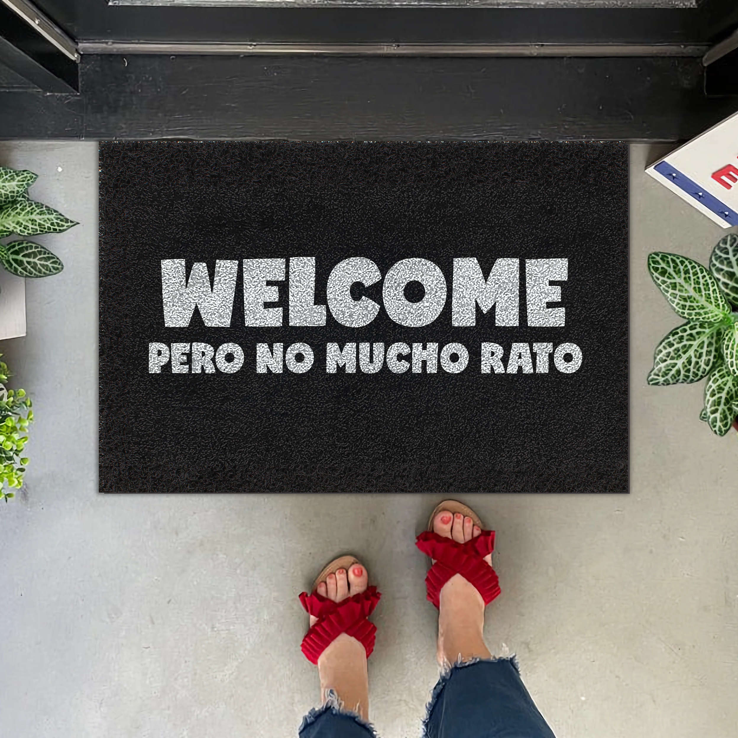 Felpudo Welcome pero no mucho rato