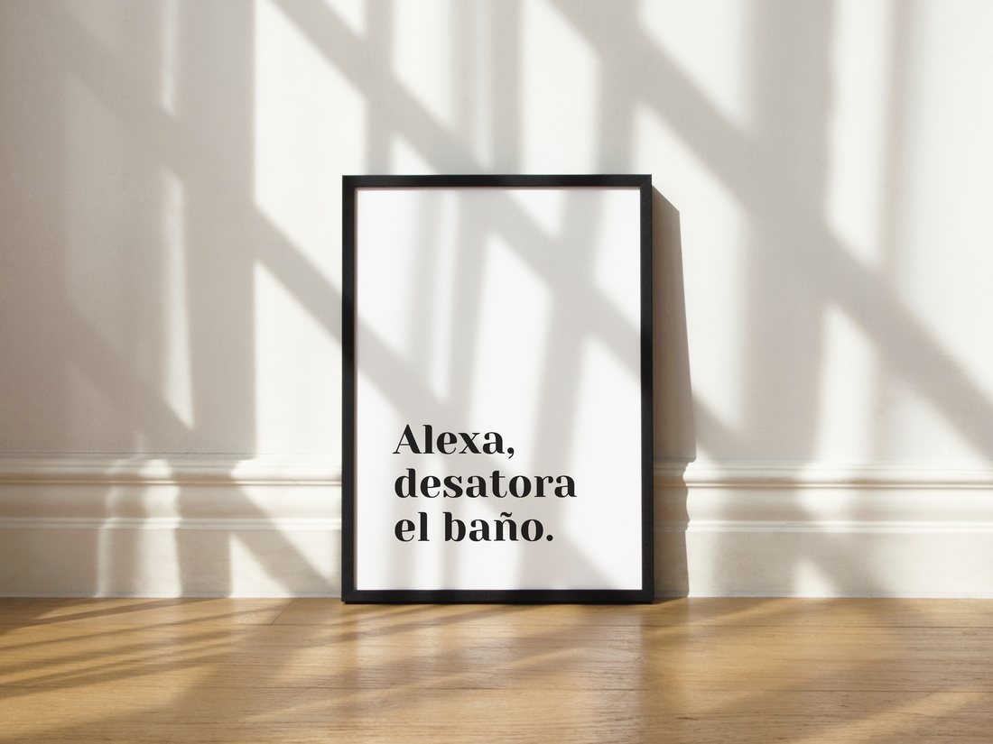 Cuadro Alexa, desatora el baño