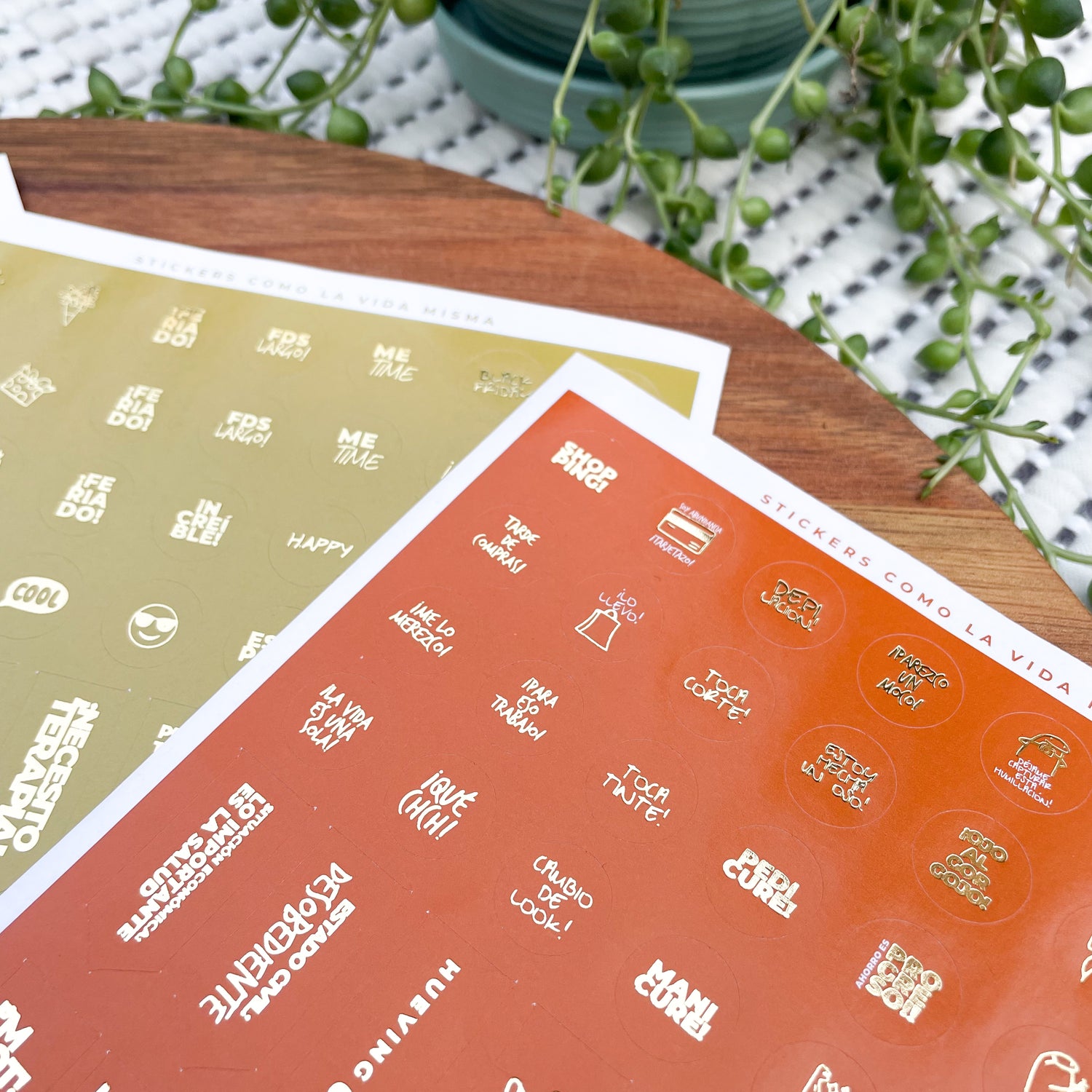 Pack Stickers 2025
