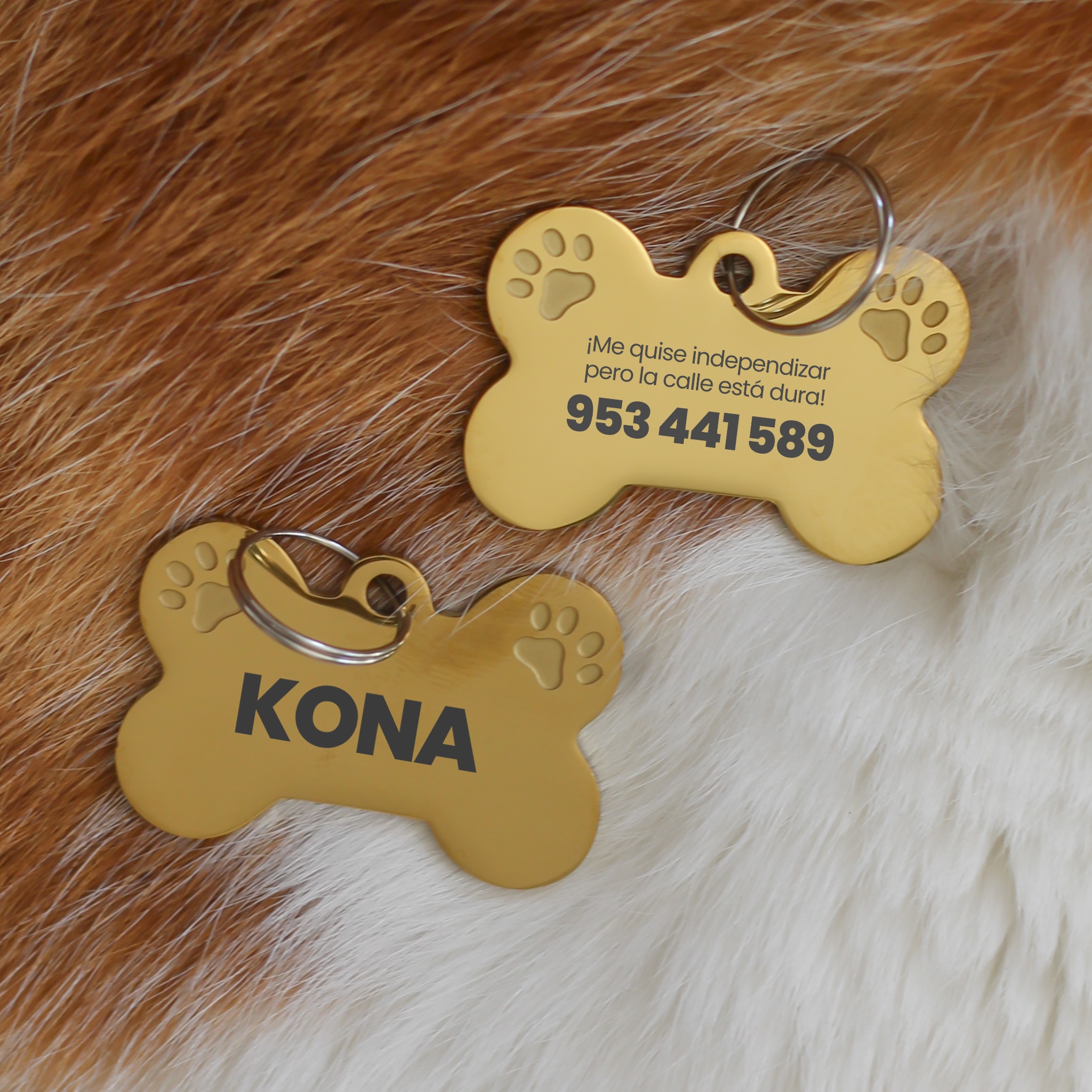 Placa para Mascotas: Me quise independizar pero la calle está dura!