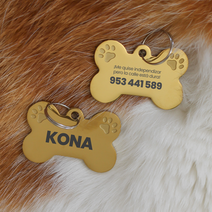 Placa para Mascotas: Me quise independizar pero la calle está dura!