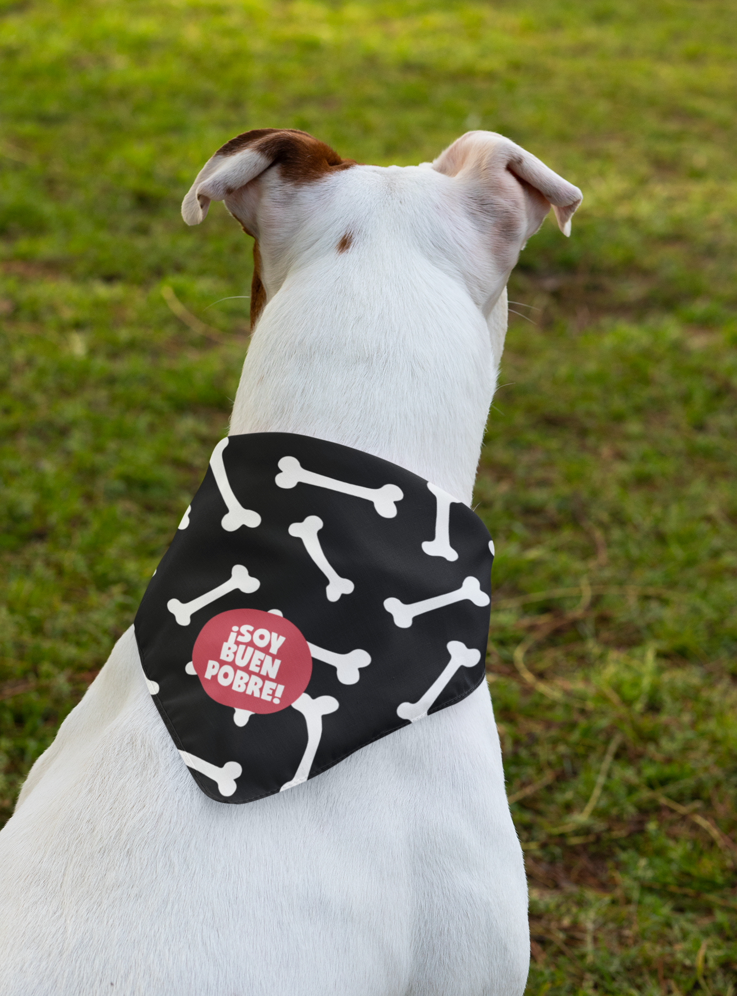 Bandana ¡Soy buen pobre!