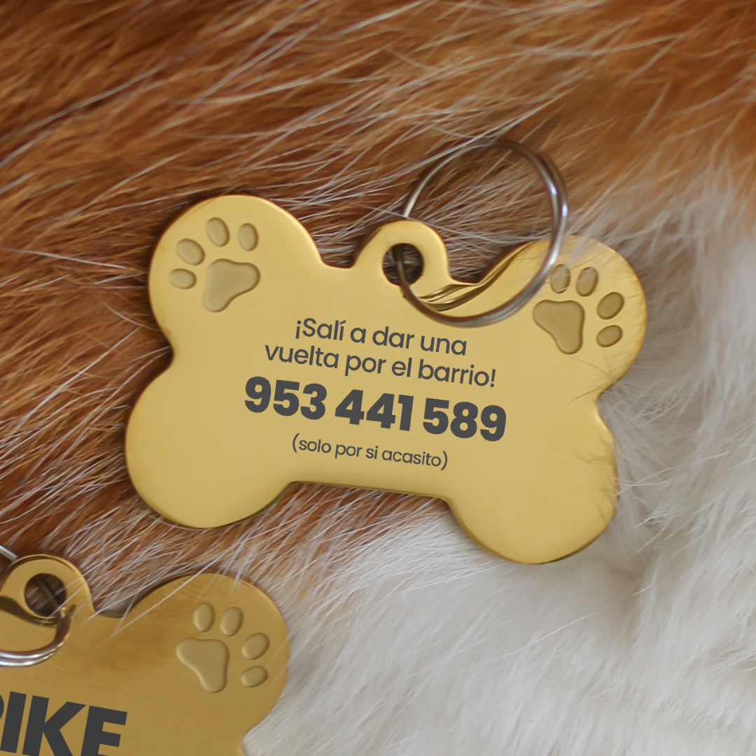 Placa para Mascotas: ¡Salí a dar una vuleta por el barrio!