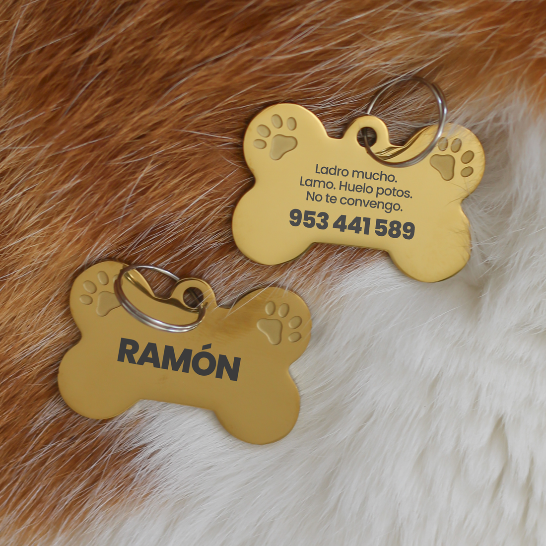 Placa para Mascotas: Ladro mucho. Lamo. Huelo potos. No te convengo.