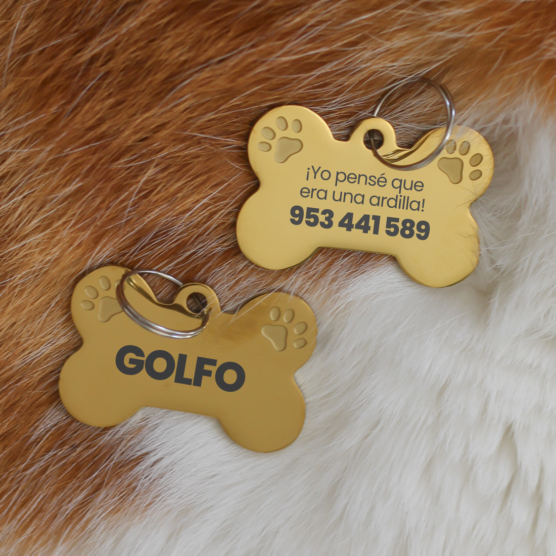 Placa para Mascotas: ¡Yo pensé que era una ardilla!