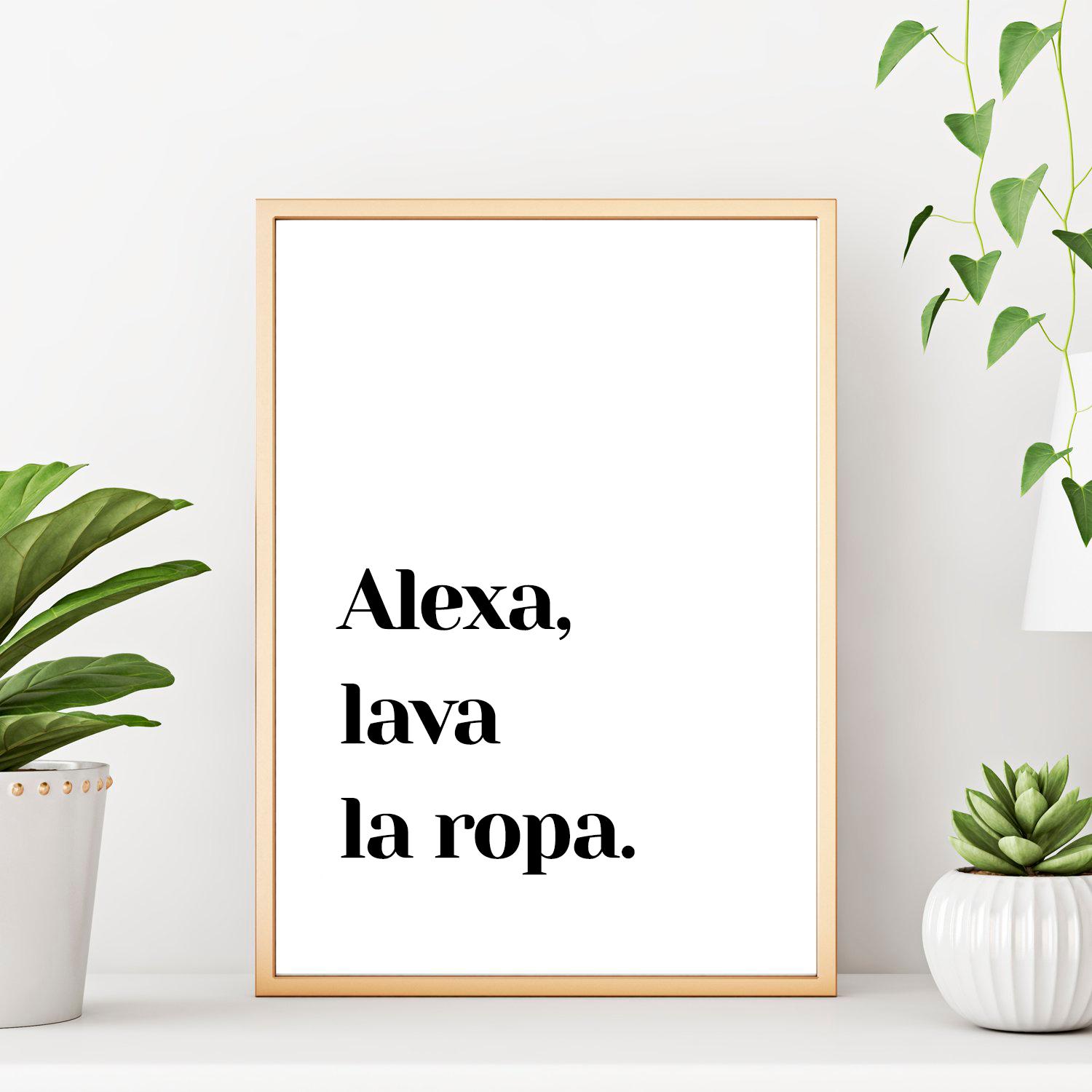 Cuadro Alexa, lava la ropa
